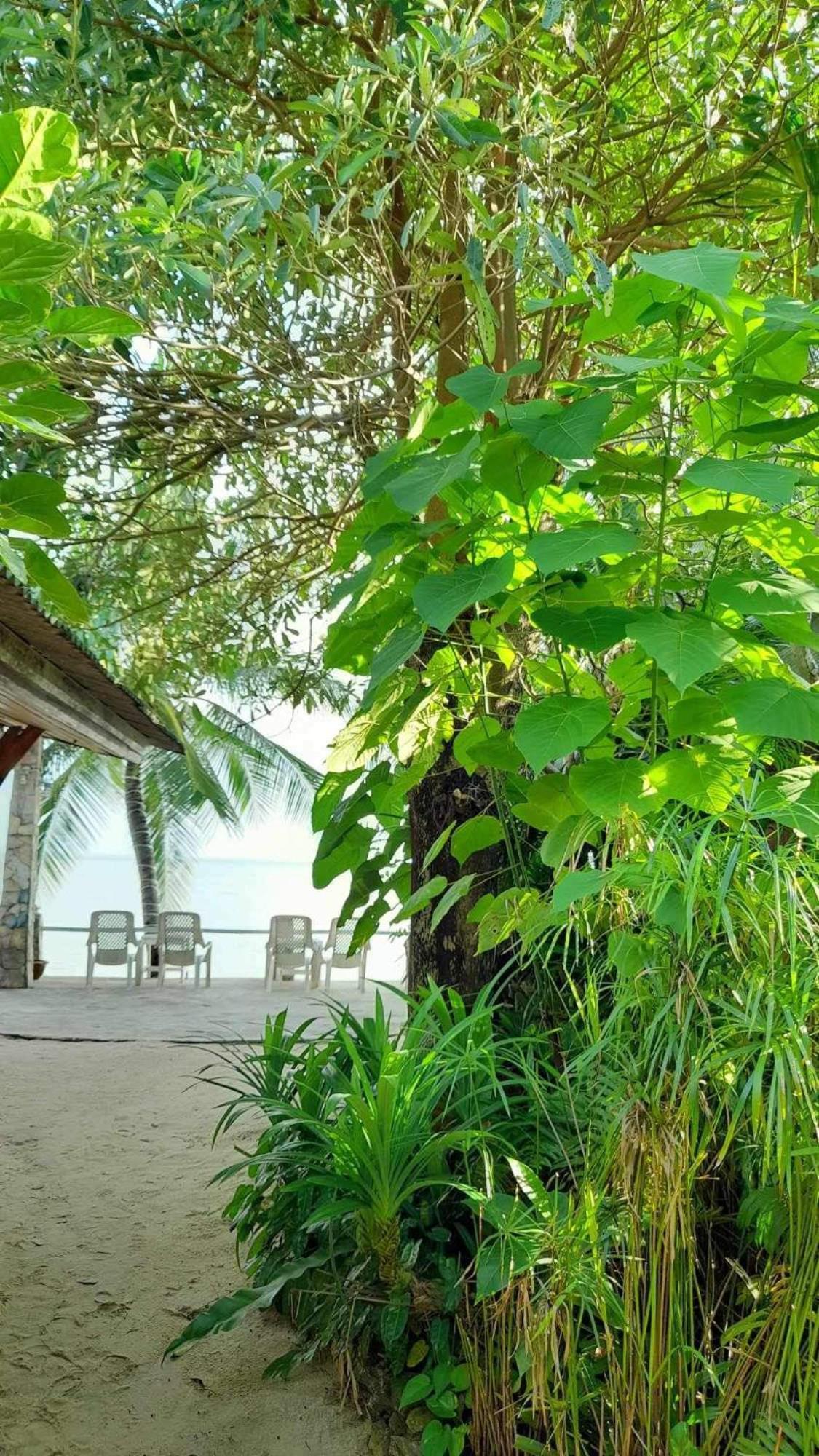Beer'S House Bungalows เบียร์เฮ้าส์บังกะโล Ban Lamai エクステリア 写真
